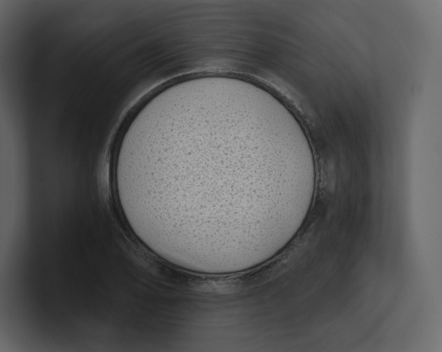 X0000100931078200807151239