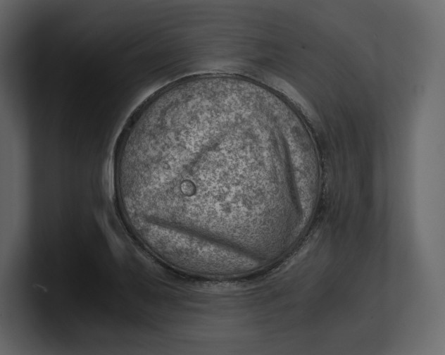 X0000100931079200807151239