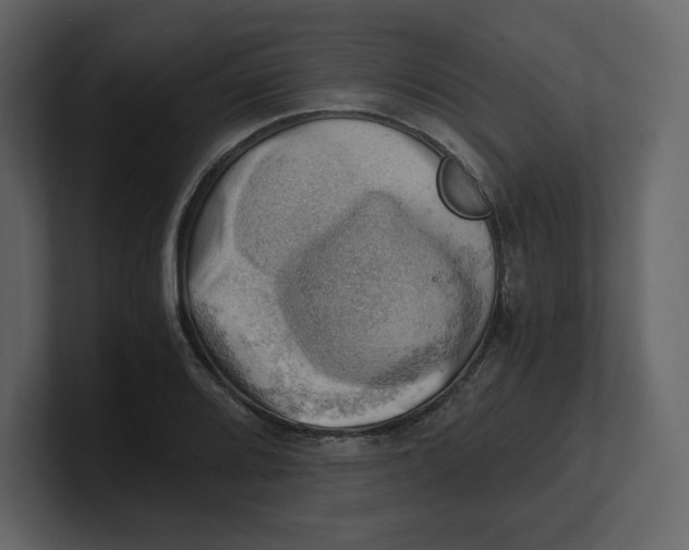 X0000100931080200807151239