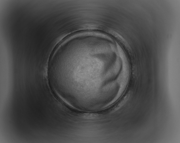 X0000100931081200807151239