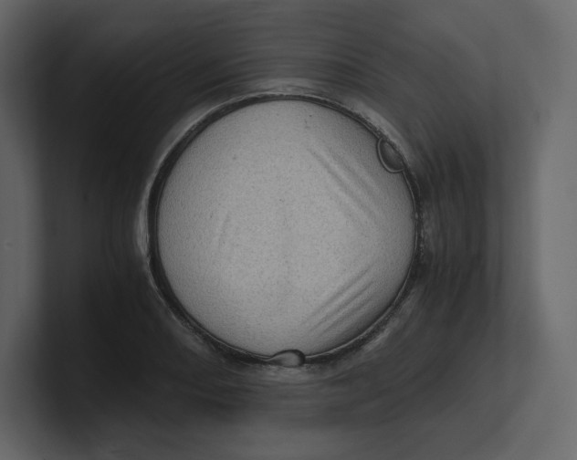 X0000100931082200807151239