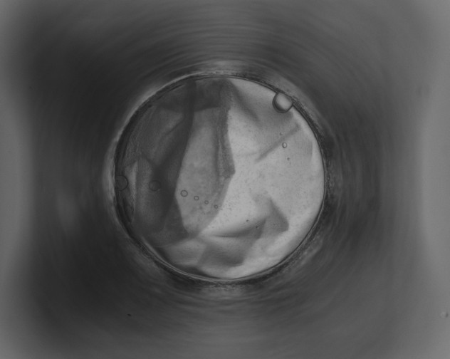 X0000100931083200807151239