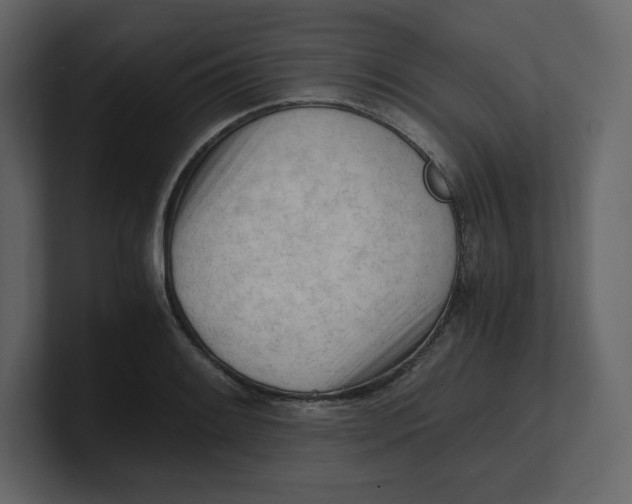 X0000100931084200807151239