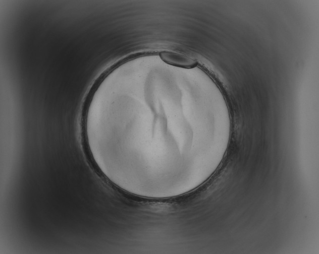 X0000100931085200807151239