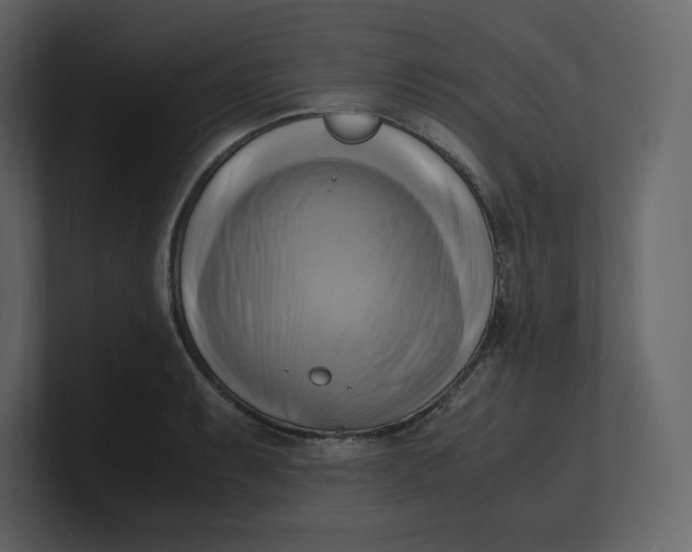 X0000100931087200807151239