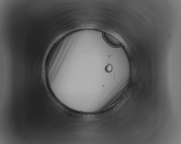 X0000100931088200807151239