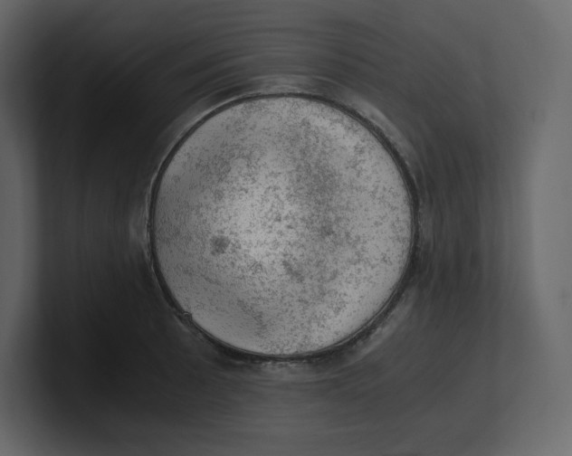 X0000100931089200807151239