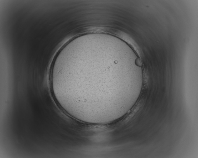 X0000100931090200807151239