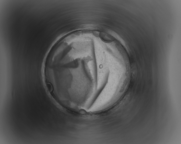 X0000100931091200807151239