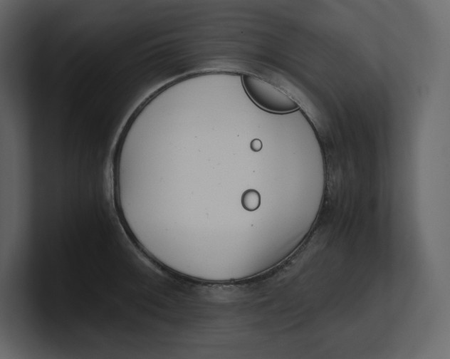 X0000100931092200807151239