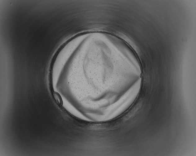 X0000100931093200807151239