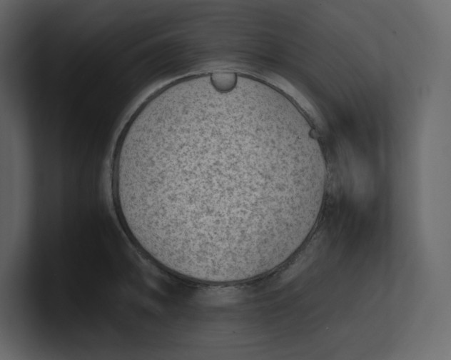 X0000100931094200807151239