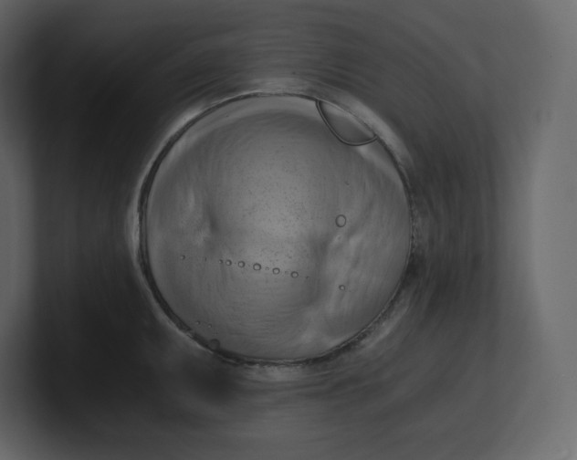 X0000100931095200807151239