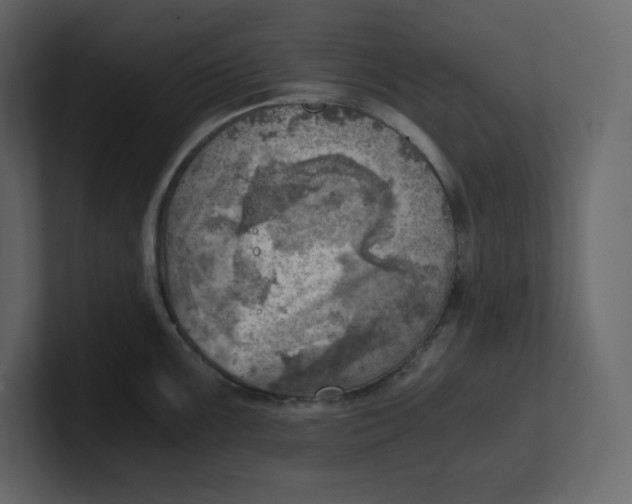 X0000100931099200807151239