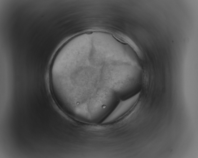 X0000100931100200807151239