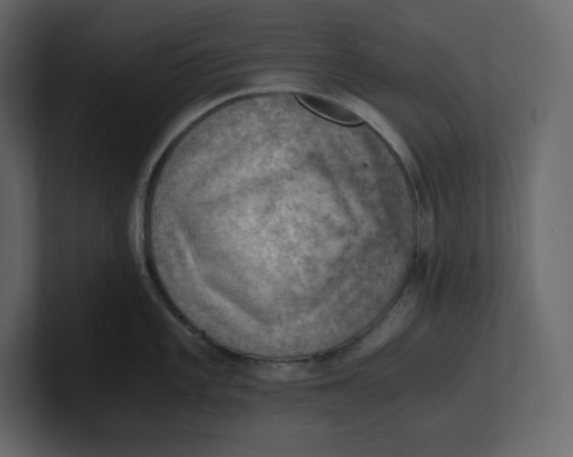 X0000100931101200807151239