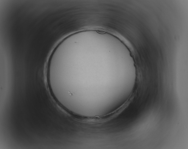 X0000100931102200807151239