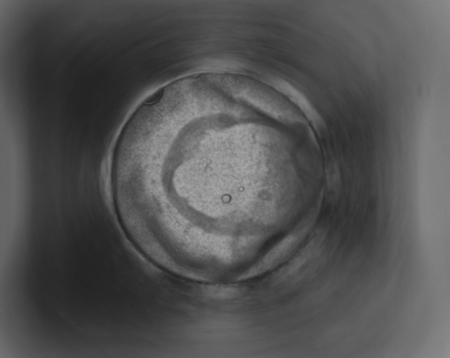 X0000100931103200807151238