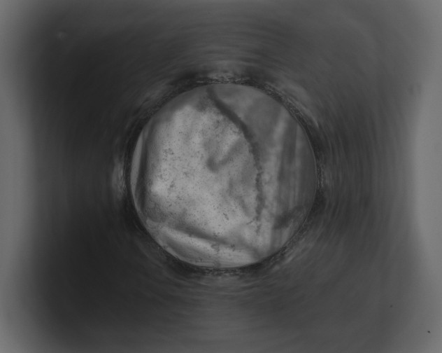 X0000100931106200807151238