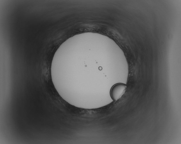 X0000100931109200807151238