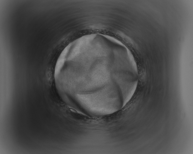 X0000100931110200807151238