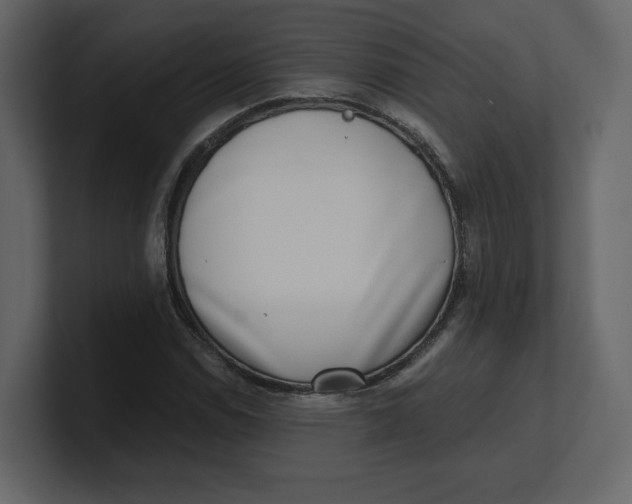 X0000100931114200807151238