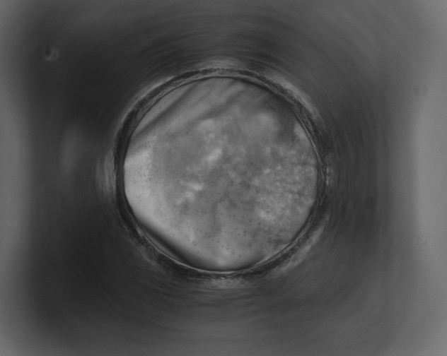 X0000100931117200807151238