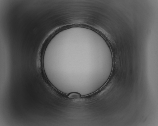 X0000100931118200807151238