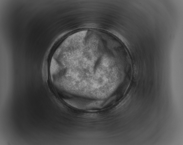 X0000100931123200807151238