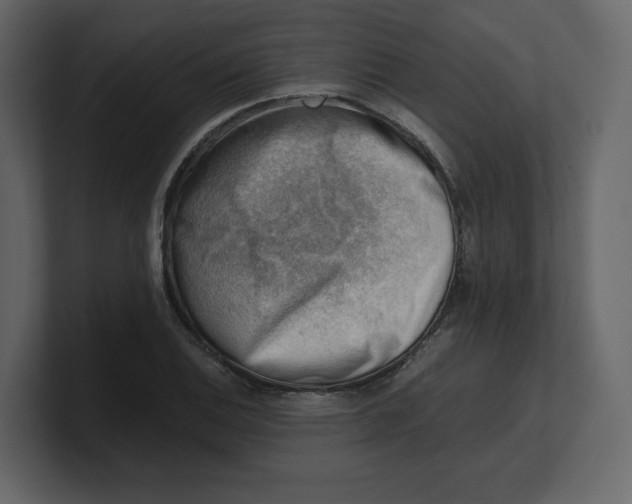 X0000100931124200807151238