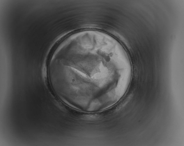 X0000100931125200807151238