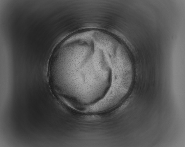 X0000100931129200807151238