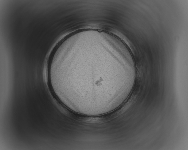 X0000100931131200807151238