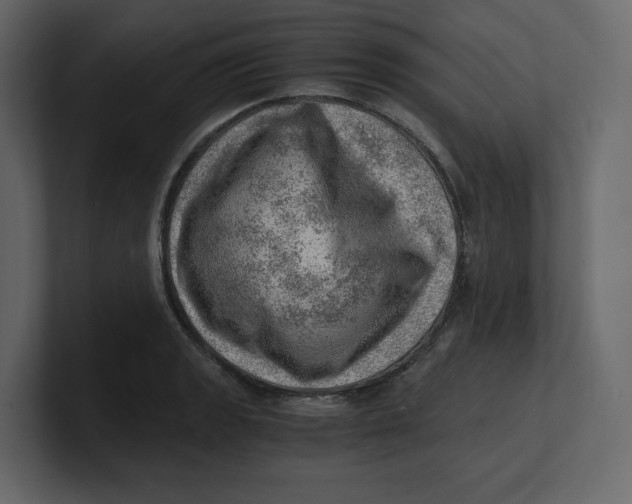 X0000100931133200807151238