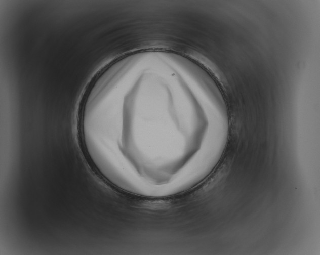 X0000100931135200807151238