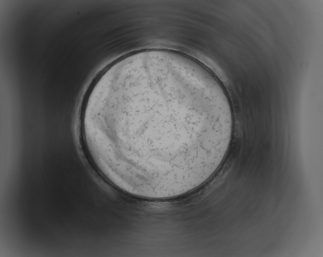 X0000100931136200807151238