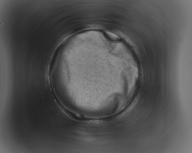 X0000100931137200807151238