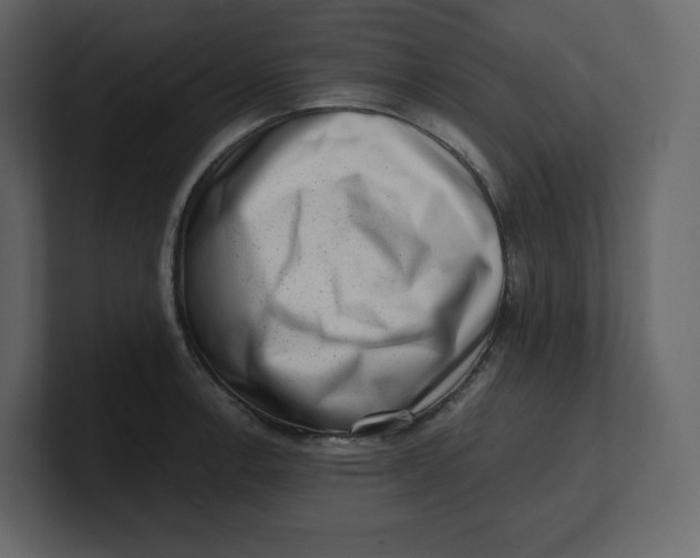 X0000100931138200807151238