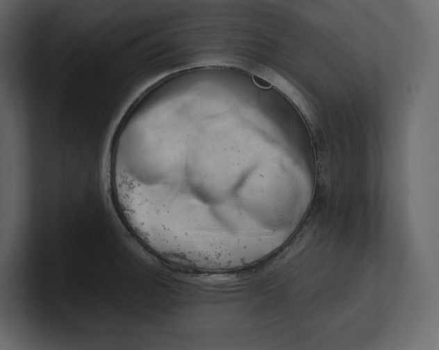 X0000100931140200807151238