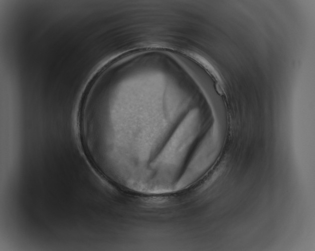 X0000100931141200807151238