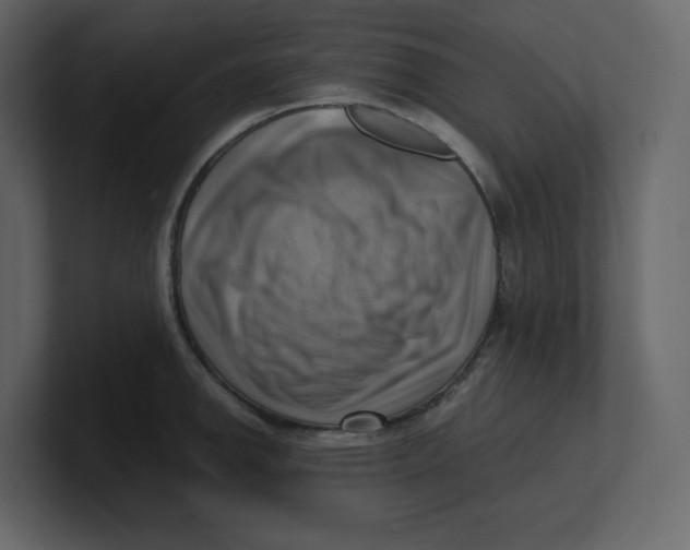 X0000100931142200807151238