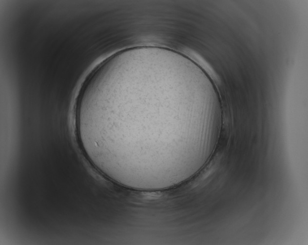 X0000100931144200807151238