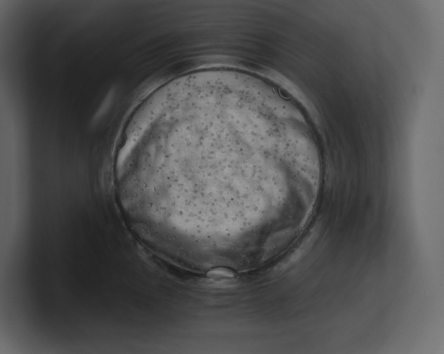 X0000100931145200807151238