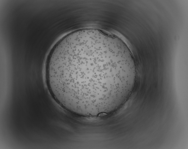 X0000100931147200807151238