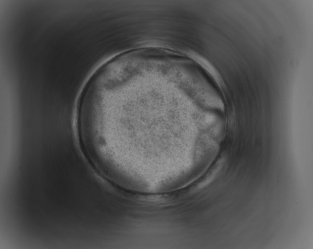 X0000100931149200807151238