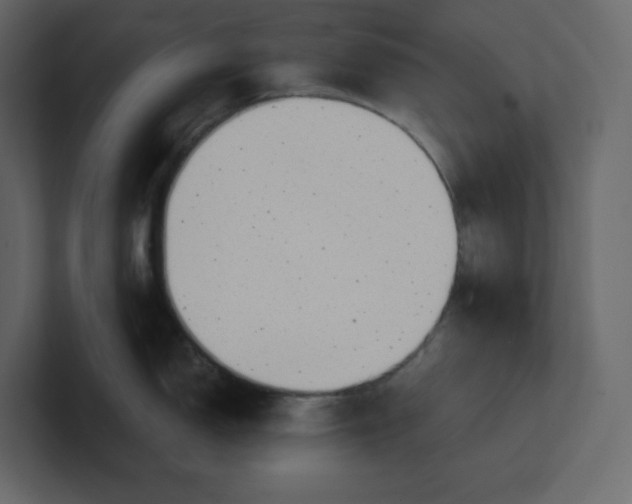 X0000100931150200807151238