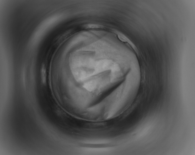 X0000100931151200807151238