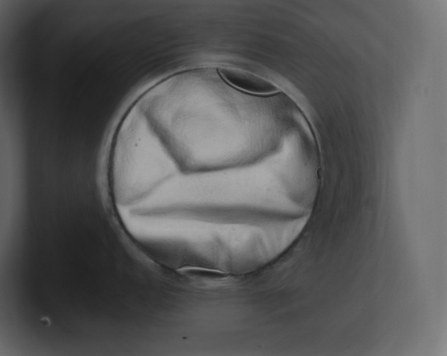 X0000100931152200807151238