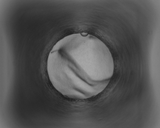 X0000100931153200807151238