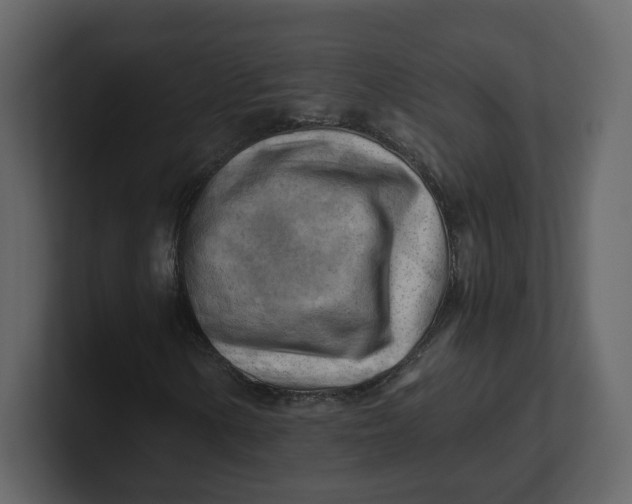 X0000100931154200807151238